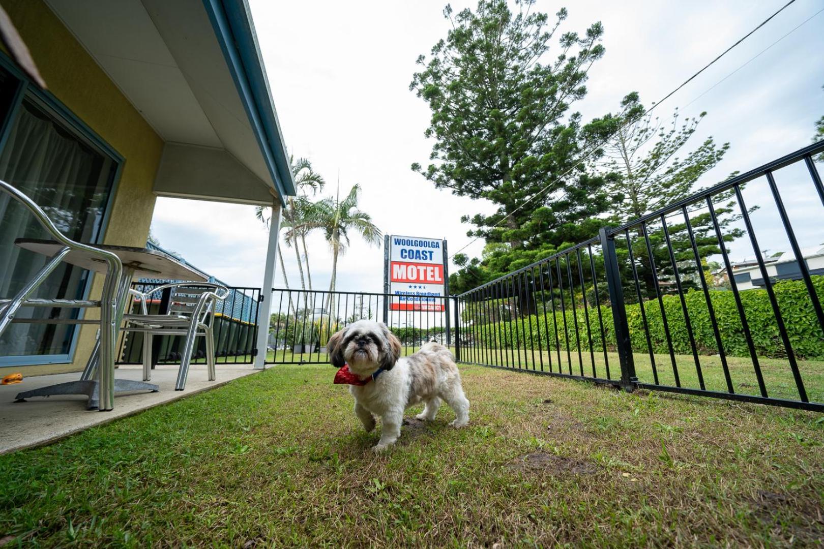 Woolgoolga Coast Motel Værelse billede